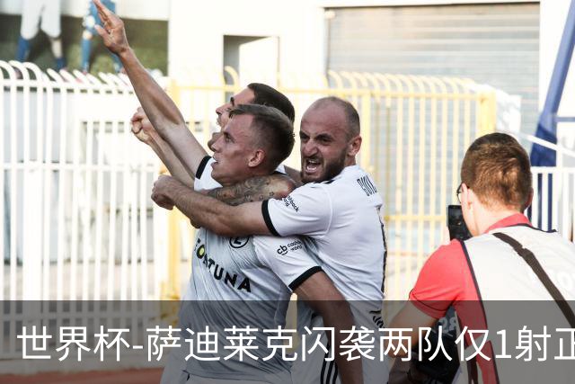 世界杯-萨迪莱克闪袭两队仅1射正 捷克半场暂1-0南非