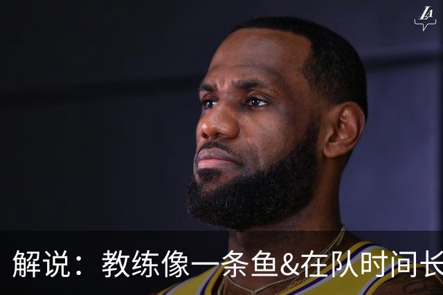解说：教练像一条鱼&在队时间长了就会发臭 杜锋话语出现效应递减
