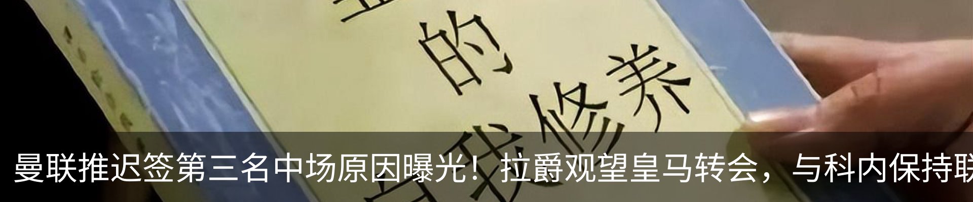 最新动态